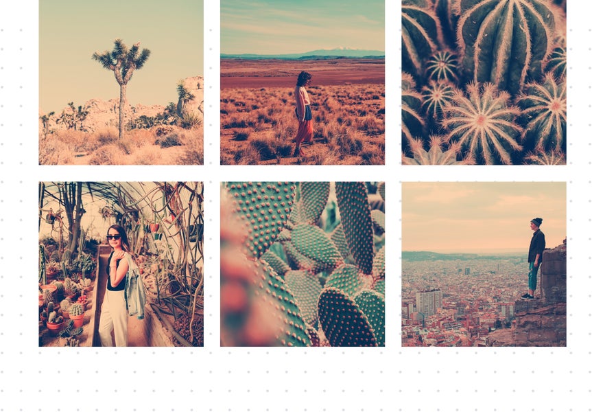 Six photos from a desert photo shoot with the same photo filter applied