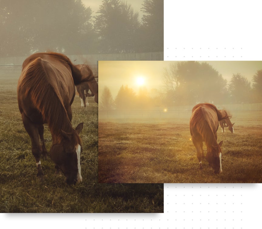 Two images of a horse, one with higher brightness