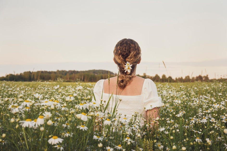 Plant, Person, Human, Daisy, Daisies, Flower