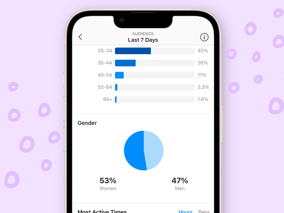 instagram story audience