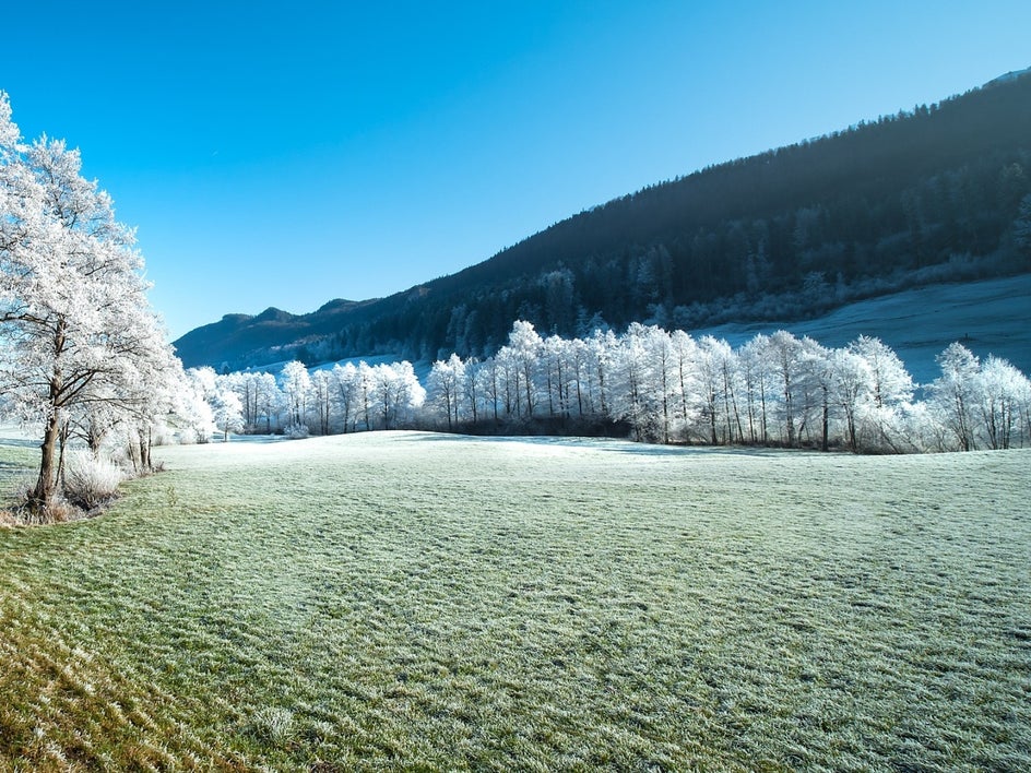 winter frost before