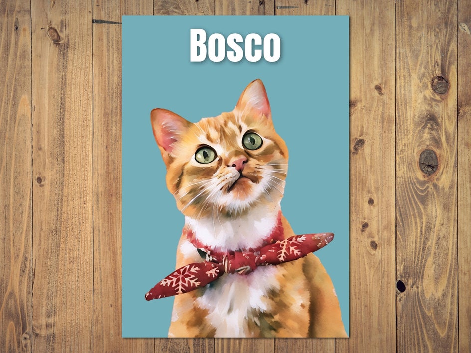 bosco the cat watercolor portrait with name