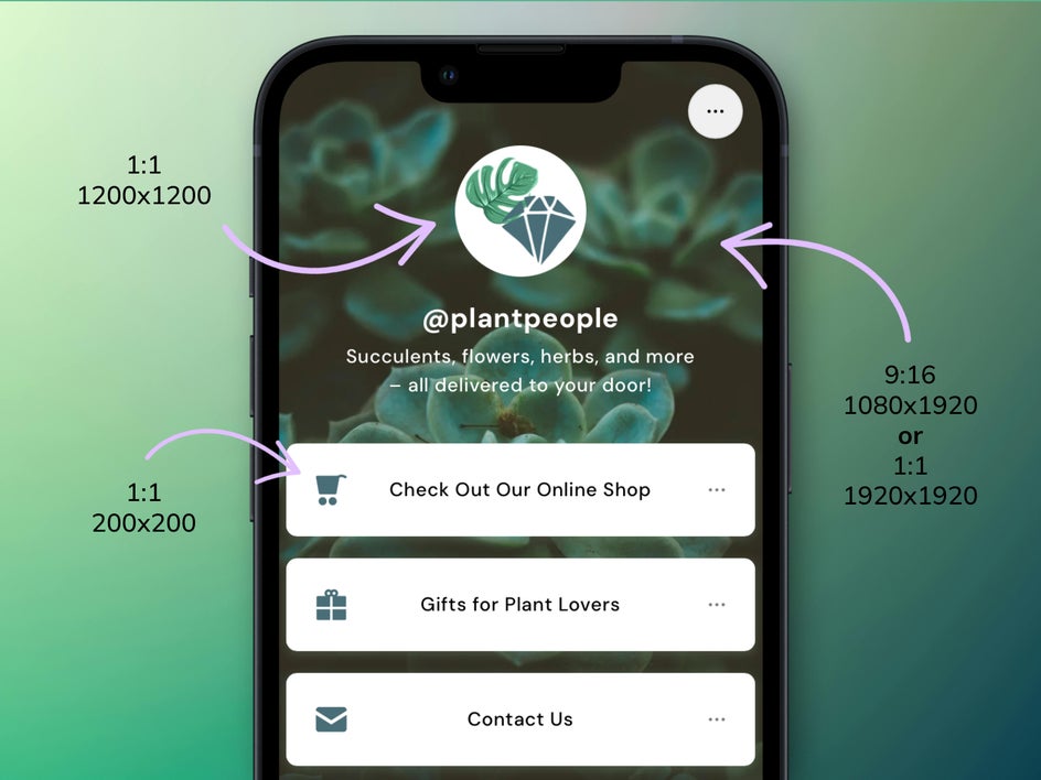 linktree sizes