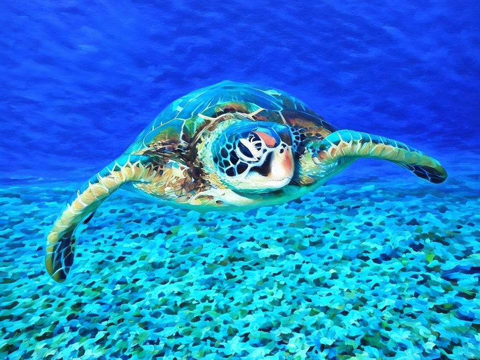 turtle in ocean impressionist style