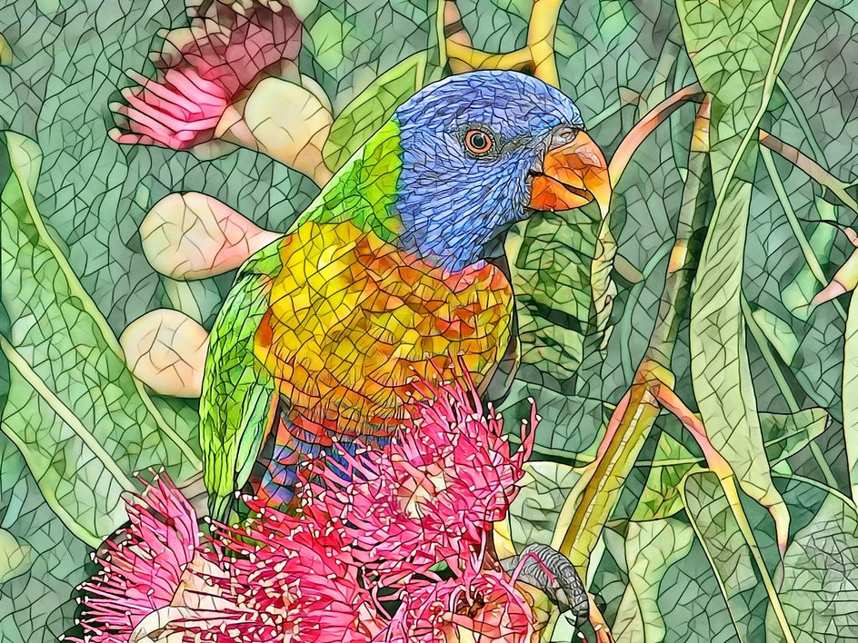 photo of parrot with mosaic effect applied