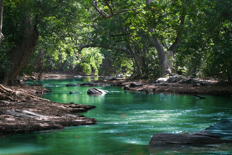 stream in nature