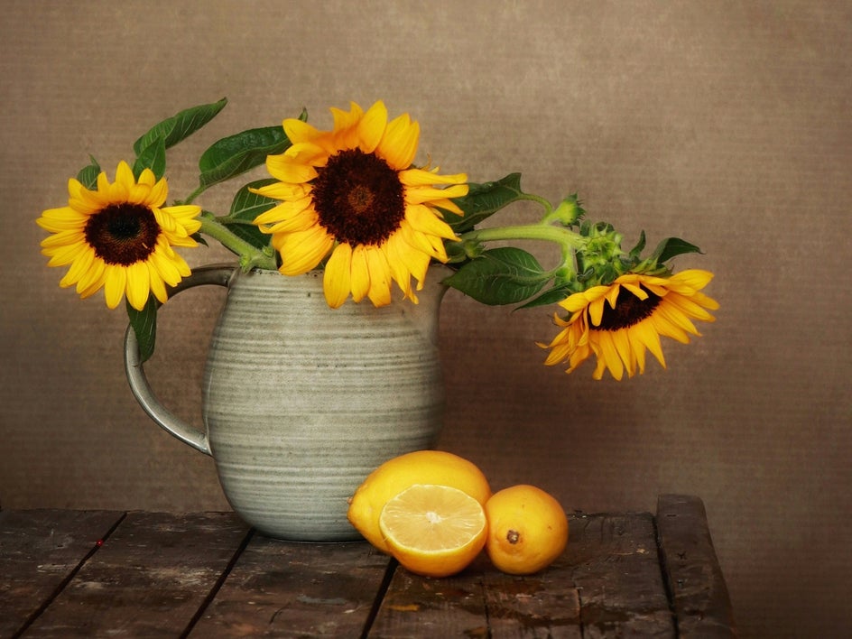 still life of sunflowers