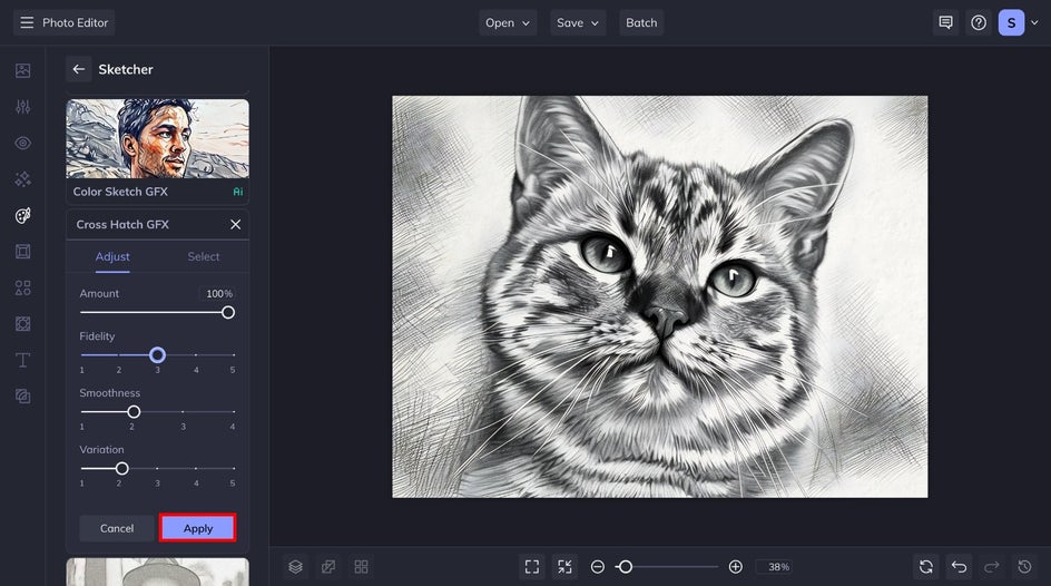 apply cross hatch gfx to cat photo