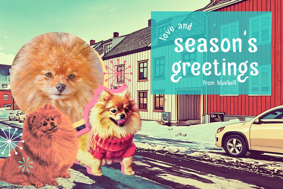 mixed media holiday postcard with Pomeranians