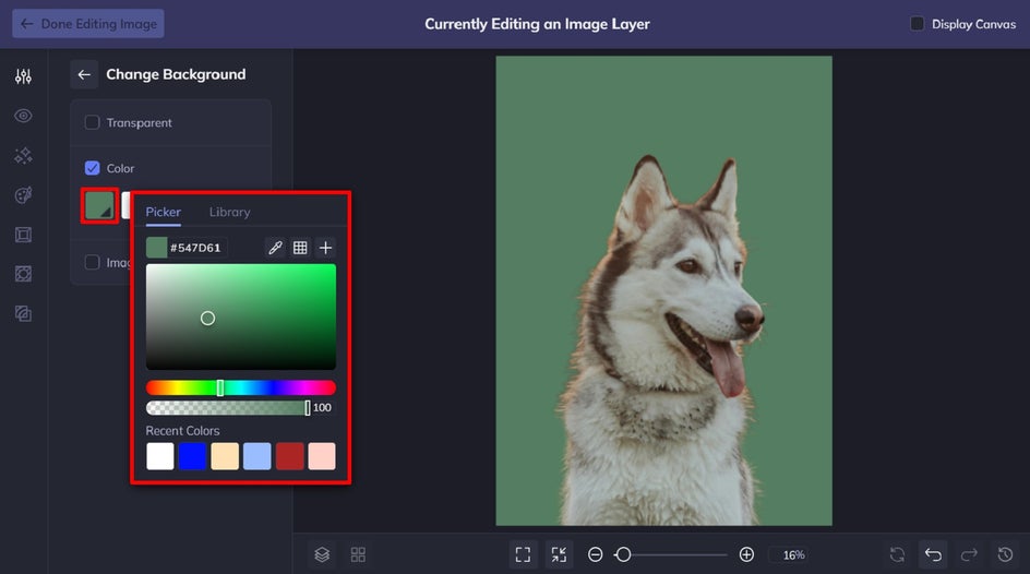 plain green background on husky image