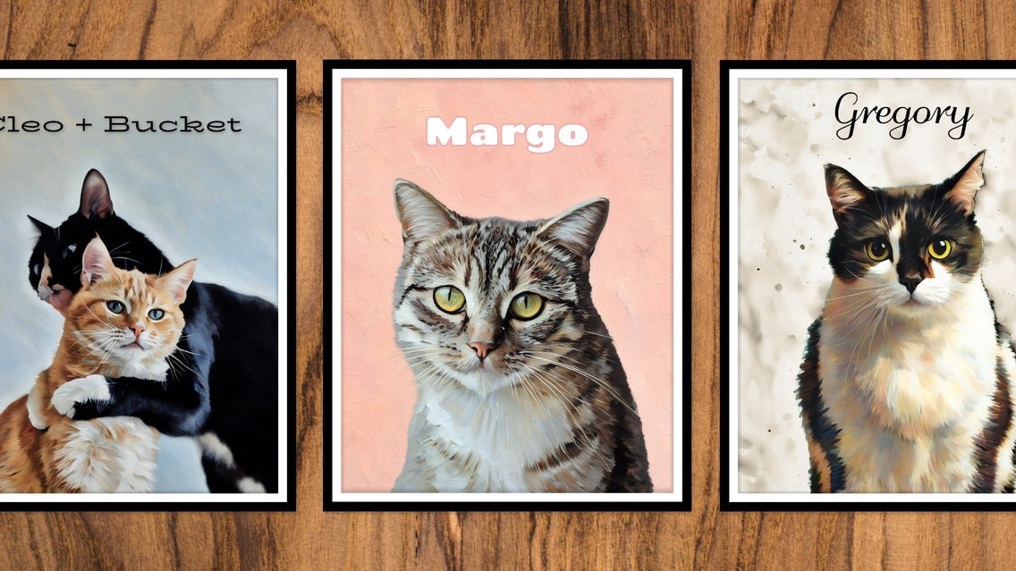 featured image cat portraits