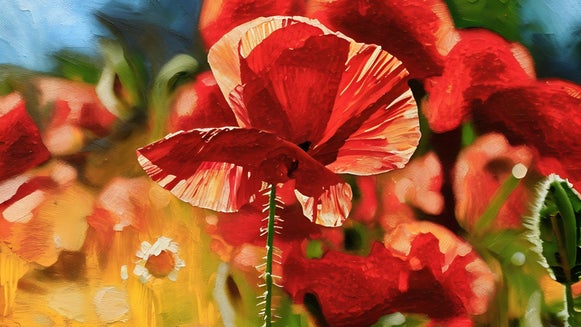 photo to impasto painting featured red florals