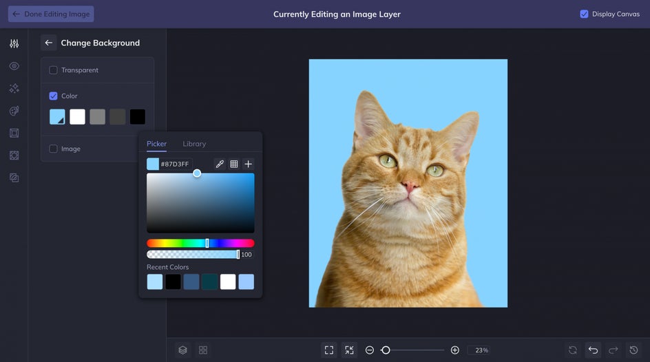 changing background with a solid color for cat photo