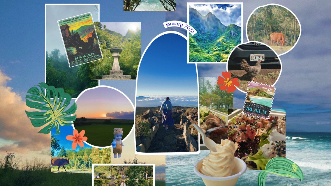 featured collage with tropical theme for designer