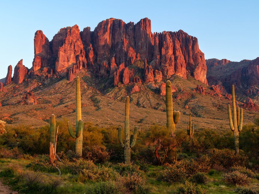 A desert landscape featuring tall cacti and a large red rock mountain illuminated by warm sunlight, with a clear blue sky in the background.