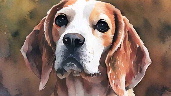 A close-up of a dog's face with expressive eyes and soft fur, transformed into a lifelike watercolor painting