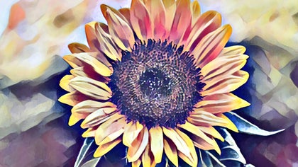 A close-up of a sunflower with vivid yellow petals and intricate detailing, in a painterly effect.